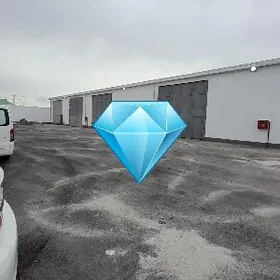 Arenda Seh bedew sklat howly