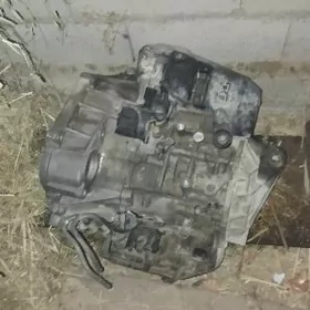 karopka 13 wlşka öküz