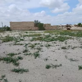 satlyk Mellek  Halac saheri