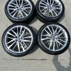 Kemy Dysga pakryşga 19