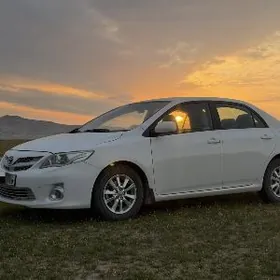 Toyota Corolla 2010