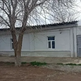 SATLYK JAY Tejen plan