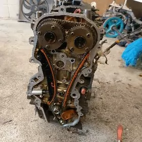 Nissan Sentra Mator Zapcasa