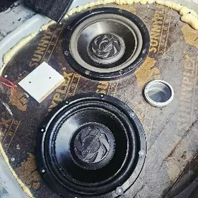 Pioneer 800 w