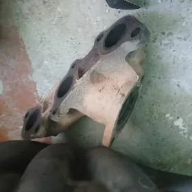 Pawuk heme zady bilen