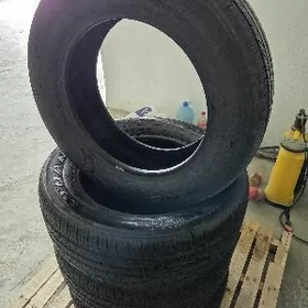 Haghlandyr 245.60.18. 08.2025