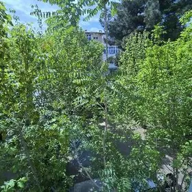 11 mkr 3 komnat eyesi