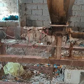 halta menzeş zatlari eretmek