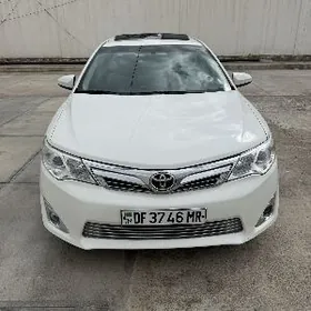 Toyota Camry 2013