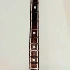 plektrli dutar,rubab,tar