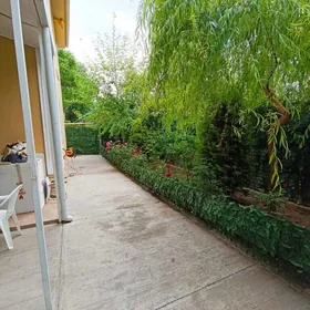 Центр Ленина шаелы Шевченко