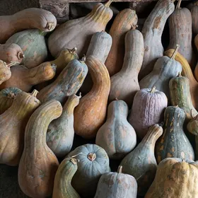 mal üçin,gowularam bar içinde