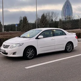 Toyota Corolla 2010