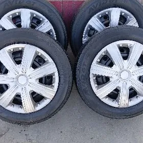 16lik karolla prastoy disga ba