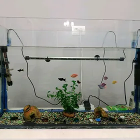 Аквариум 100 лт