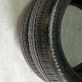 255/50/20/2şt Bredistone 24Ý