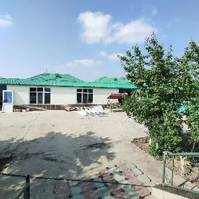 Taze zaman ️ тазе заман