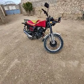 Fekon FK200-14G 2026