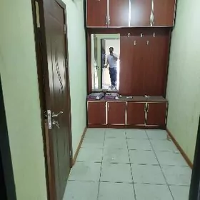 Молланепес коче элитка