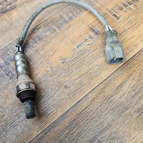 Katalizator Kamry 2010