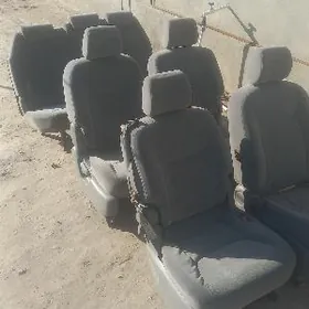 Sena Sidenyalary we apsipgalar