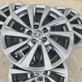 2022 kemri Disga R17