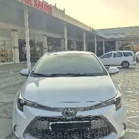 Toyota Corolla 2022