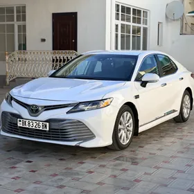 Toyota Camry 2020