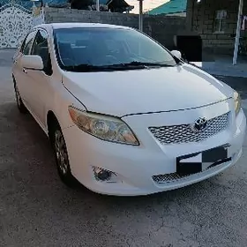 Toyota Corolla 2010