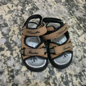 Taze Çaga basanojka