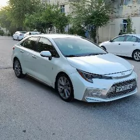 Toyota Corolla 2019