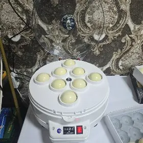 bilyart shar polirovka