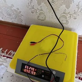 inkubator HHD 12 wolt