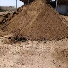 elenen ve arassa ders