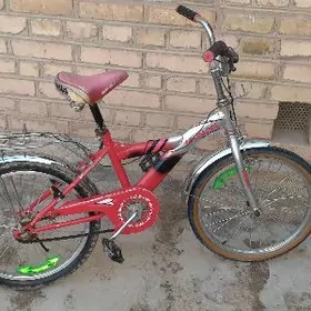 welsepet ukraina tigir