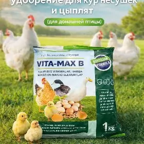 для курей и цыплят