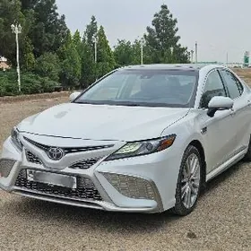 Toyota Camry 2021