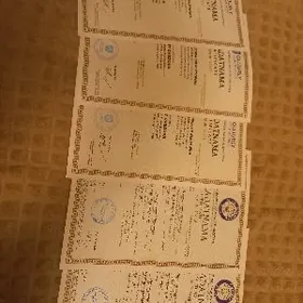 Репетитор по англ и/или матем