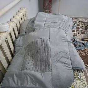 salin çehol uniwersal