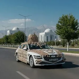 MASYN BEZEG.  Podyez bezeg