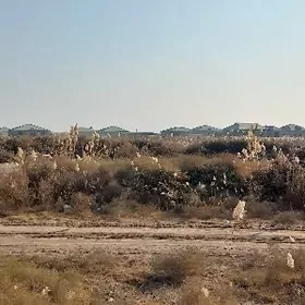 сатлик жай ер