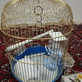 Papugay kletkasy komplekt