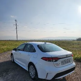 Toyota Corolla 2021