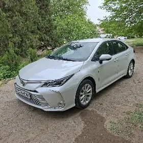 Toyota Camry 2022