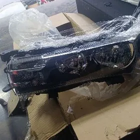 carolla cyra taze dakylmadyk