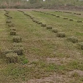 беде,йорунжа кип