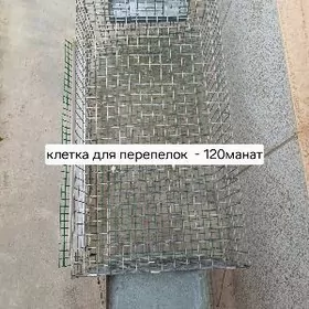 Клетки для перепелок.