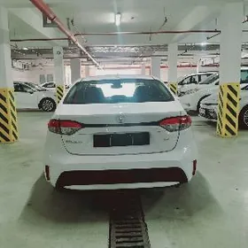 Toyota Corolla 2022