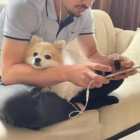 Выгул собак