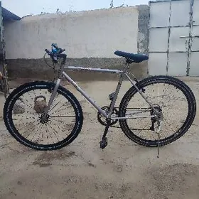 Welosoped 28lik spartiwyny